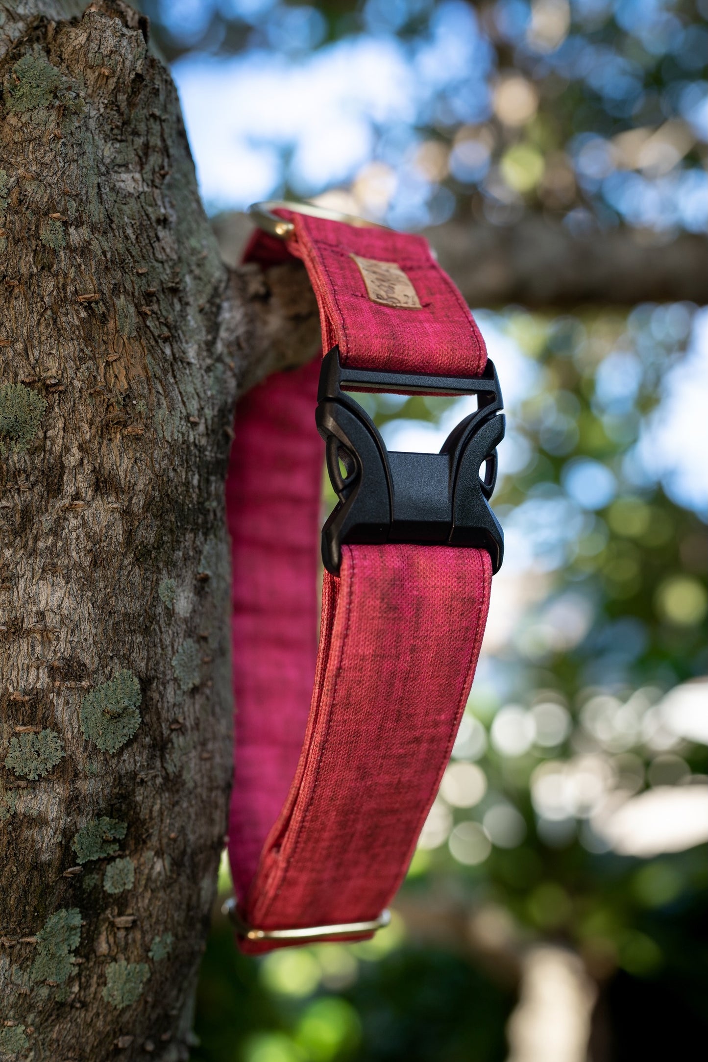 1" Width Eco Canvas Collars