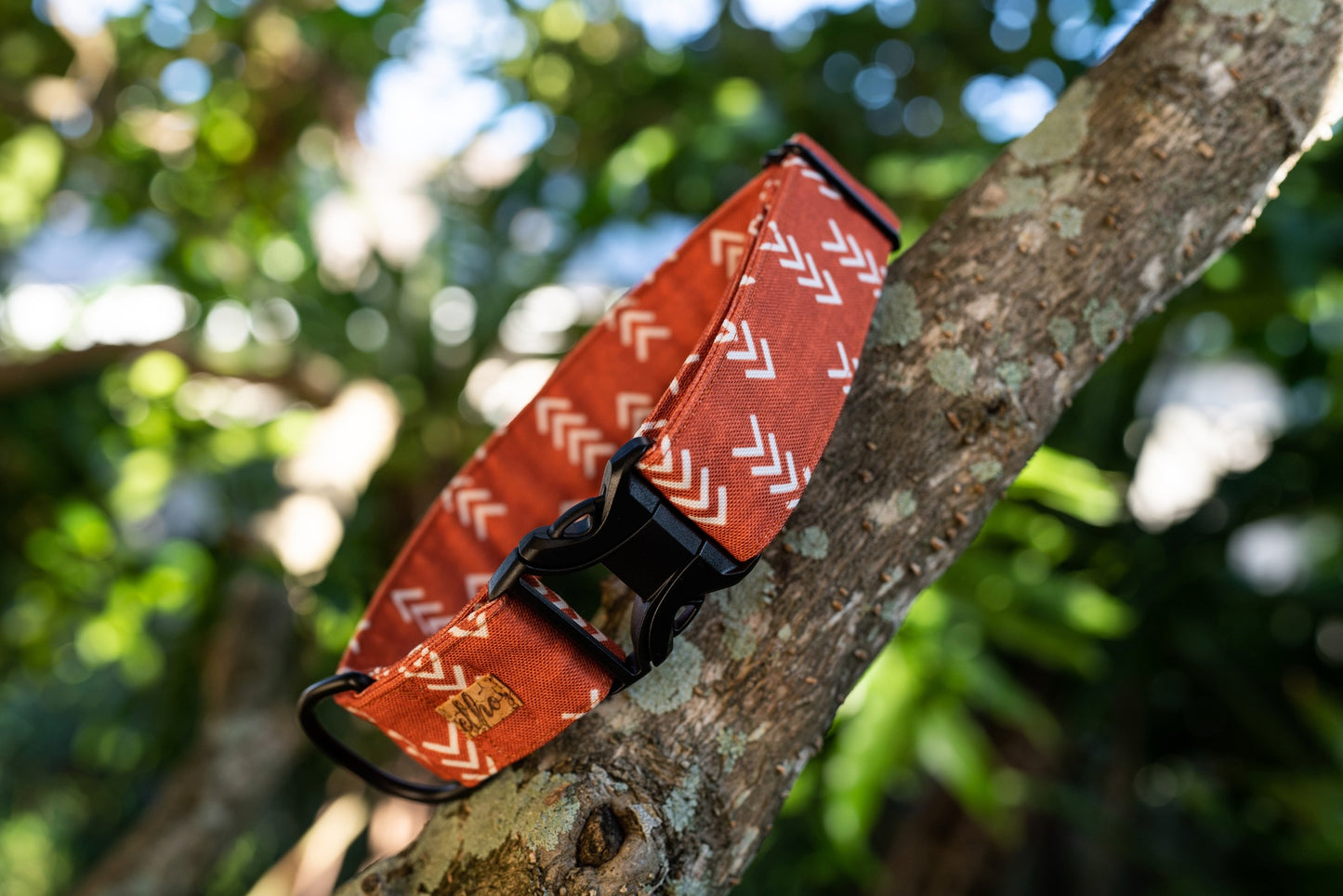 1" Width Eco Canvas Collars