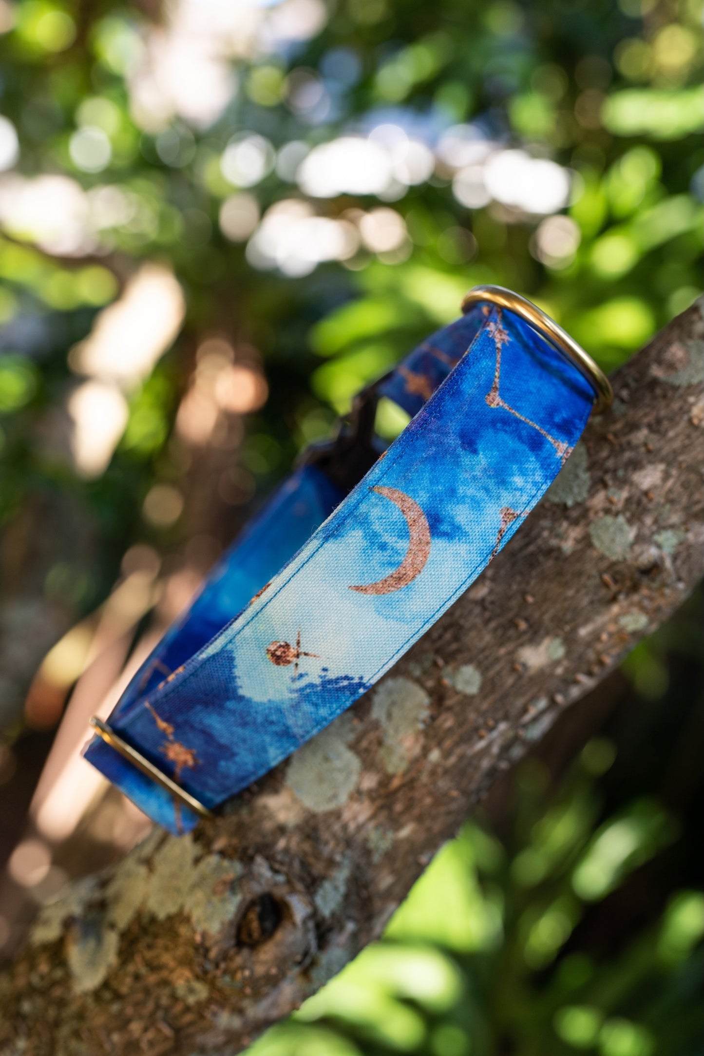 1.5" Width Eco Canvas Collars