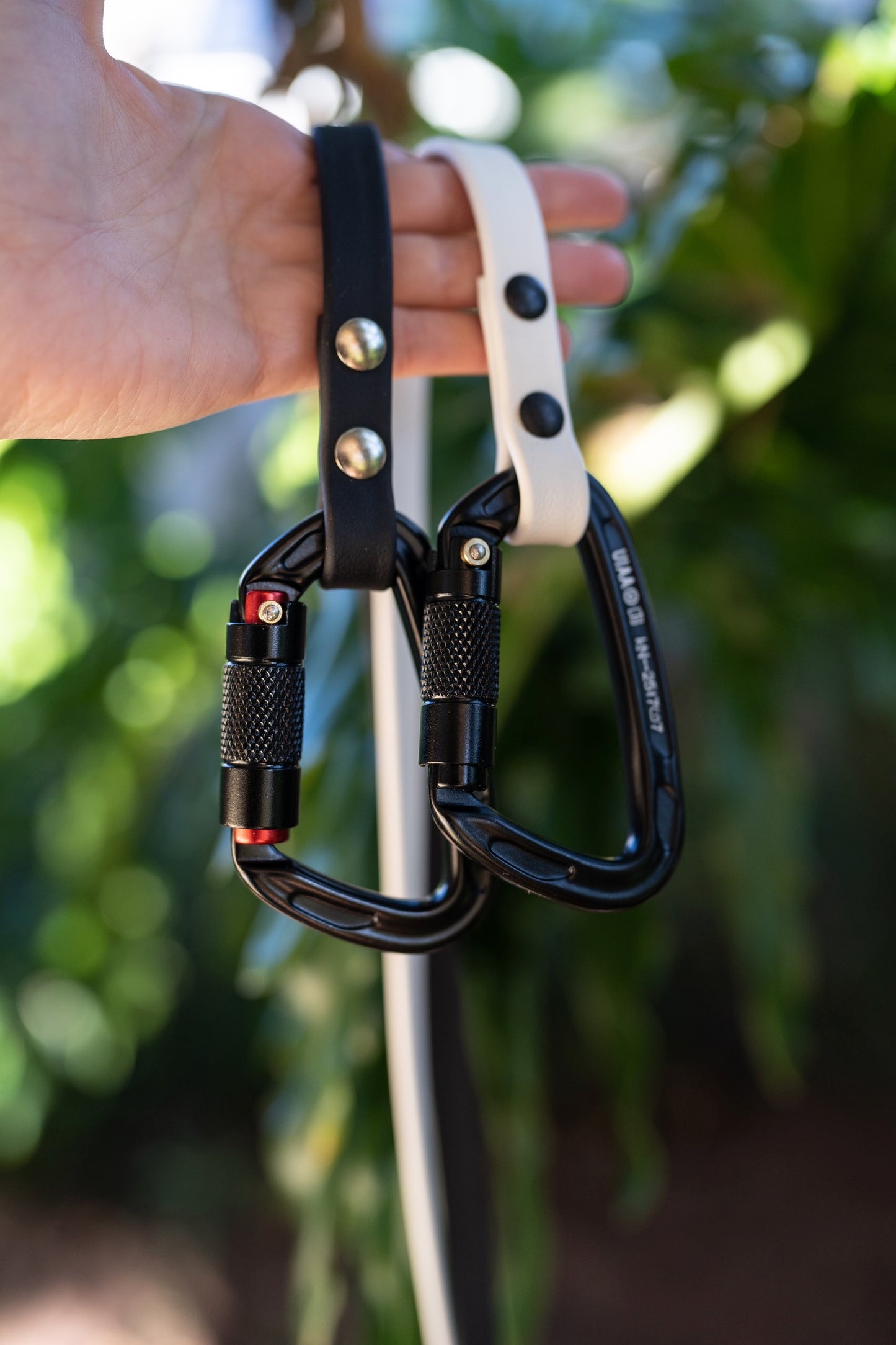 The Explorer Leash - Crossbody and Standard Leash in One