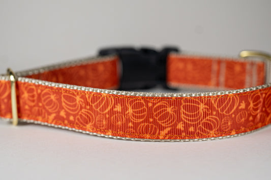 Fall Pumpkins Adjustable Dog Collar