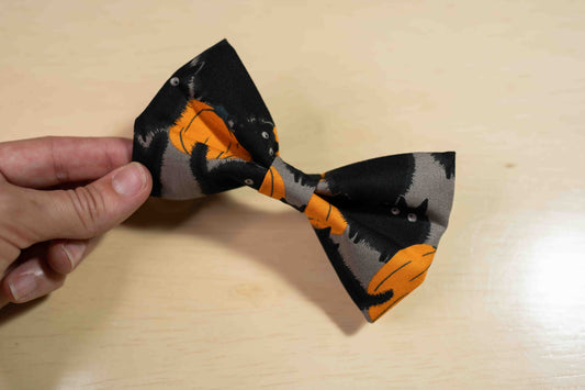 Scaredy Cat Bow Tie