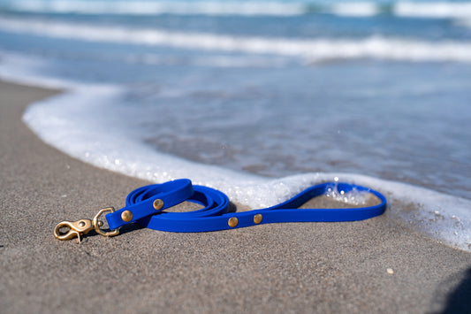 Waterproof Custom BioThane Leash