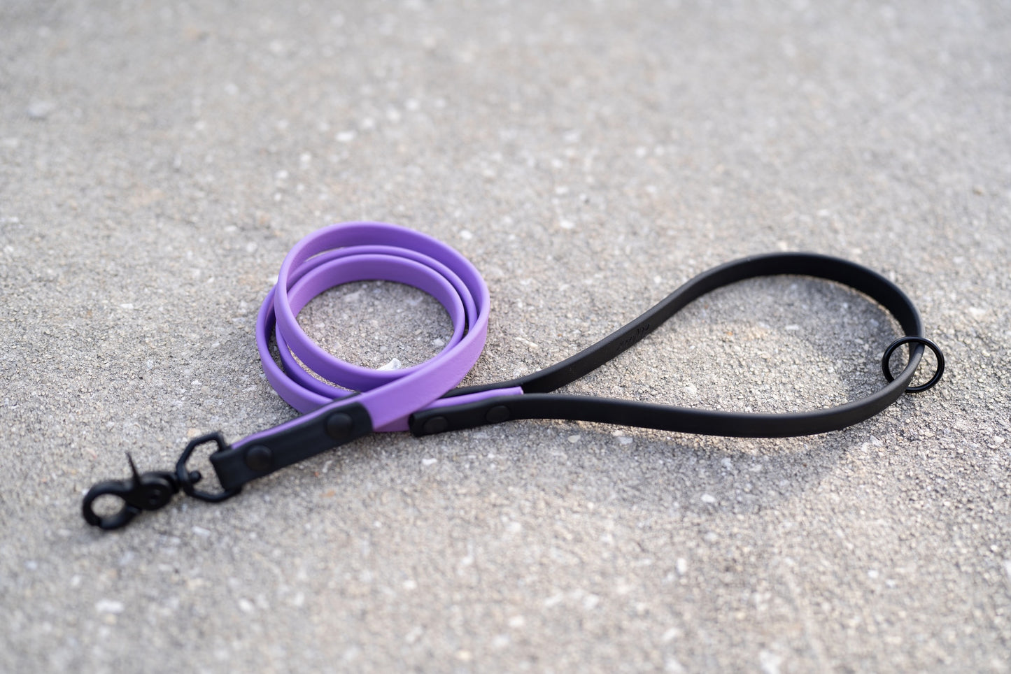 Waterproof Custom BioThane Leash