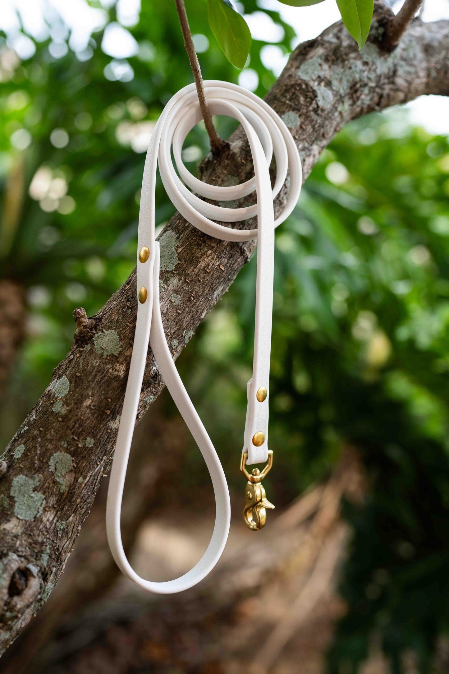 Waterproof Custom BioThane Leash