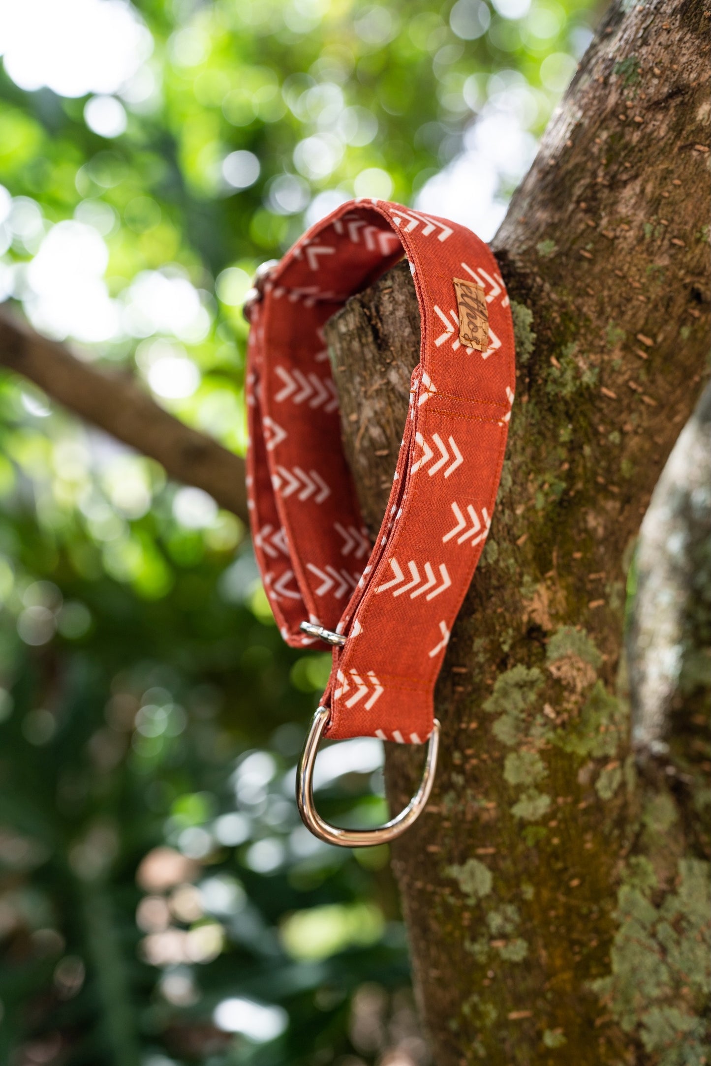 1" Width Eco Canvas Collars