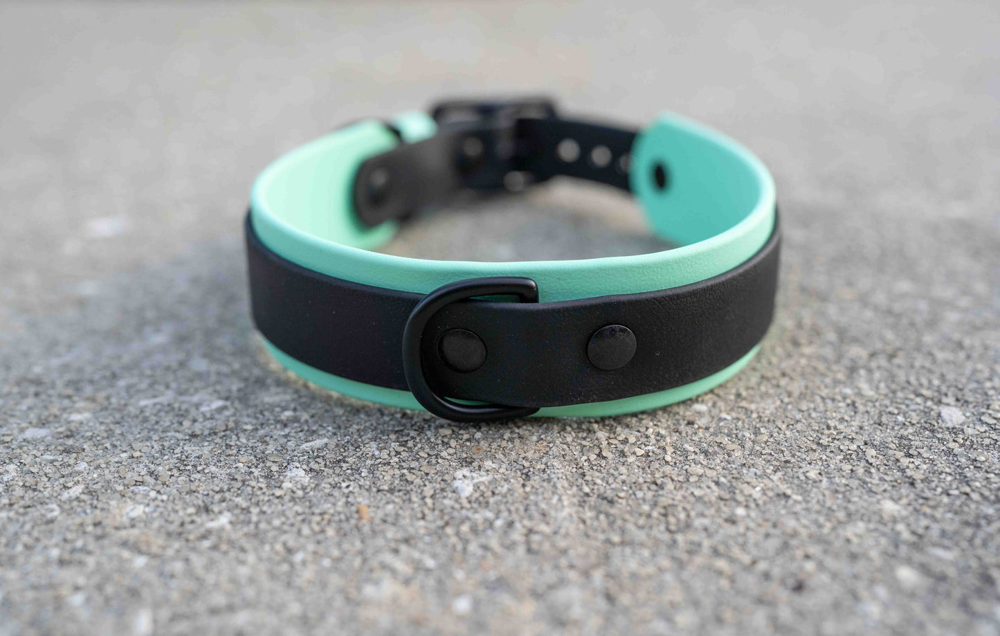 1.5" Layered Collar