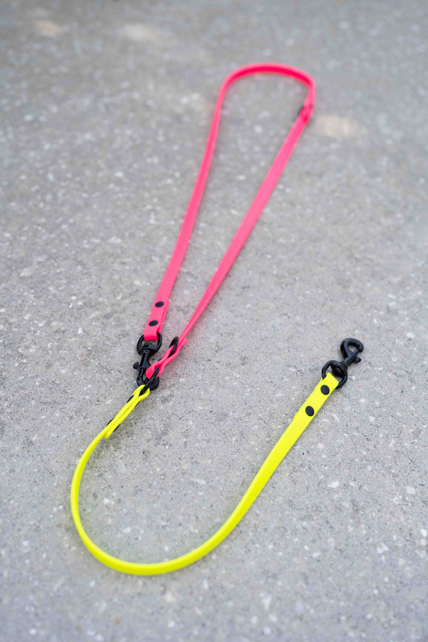 The Explorer Leash - Crossbody and Standard Leash in One