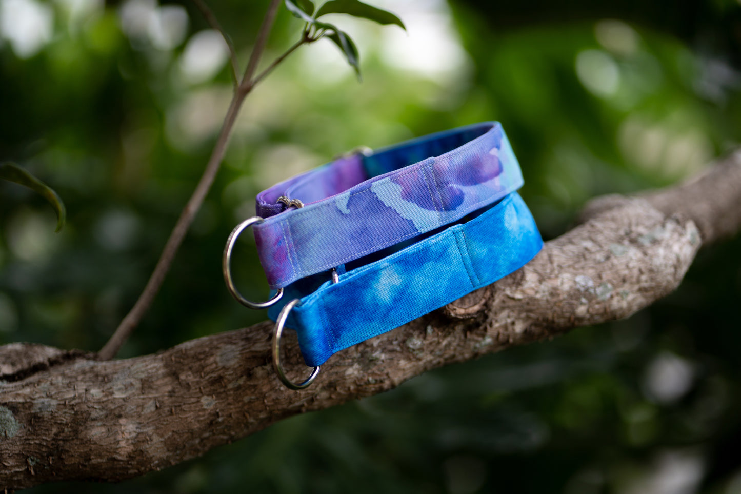 1.5" Width Eco Canvas Collars