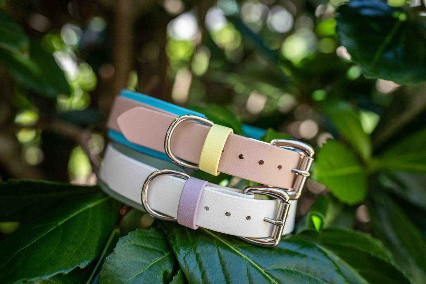 1.5" Layered Collar