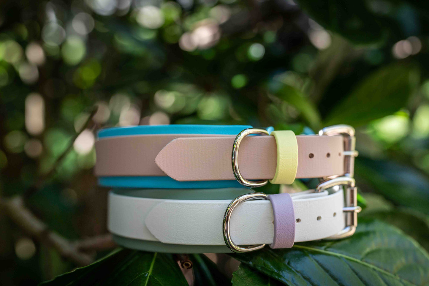 1.5" Layered Collar