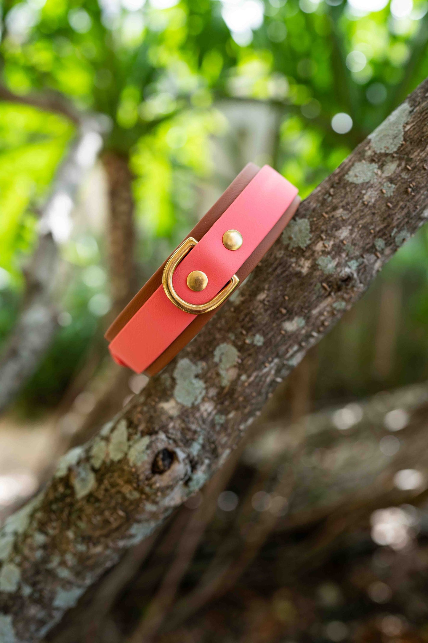 1.5" Layered Collar