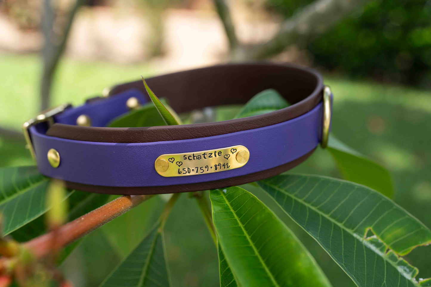 1.5" Layered Collar