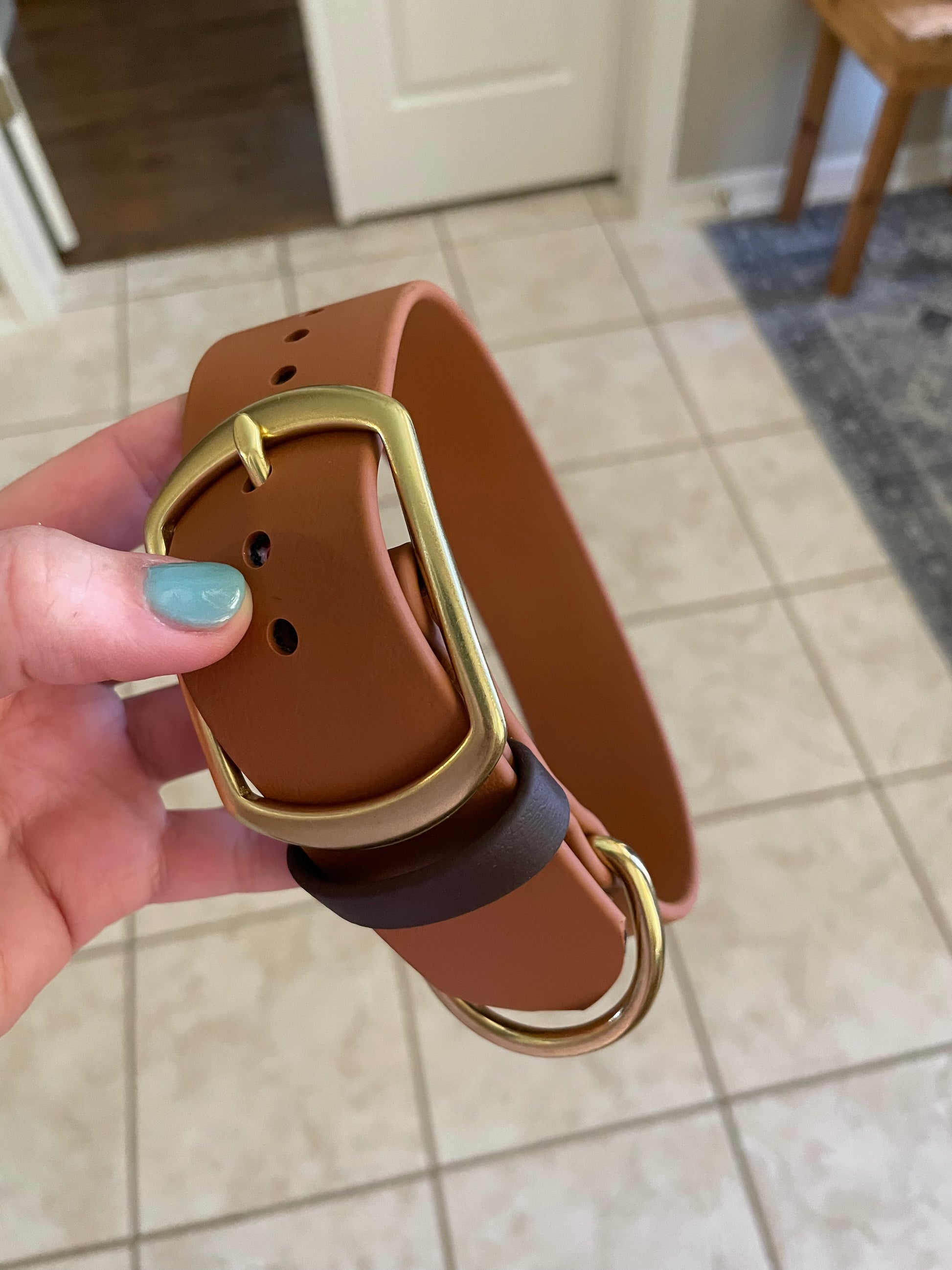 Light brown dog collar with a gold buckle being held by a hand