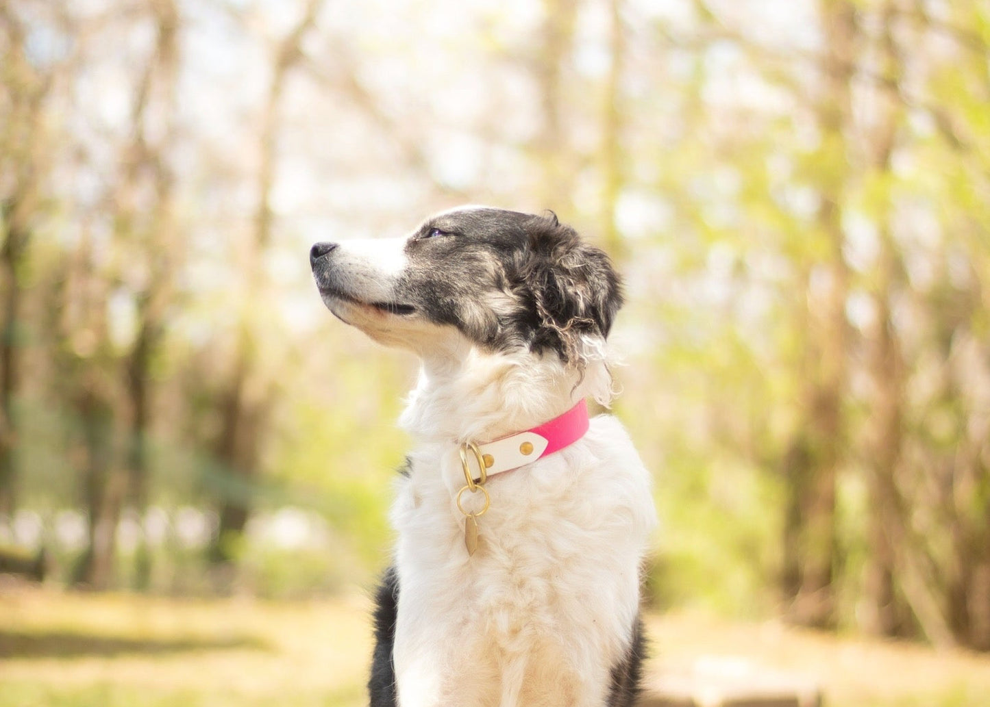 Full Slip Collar