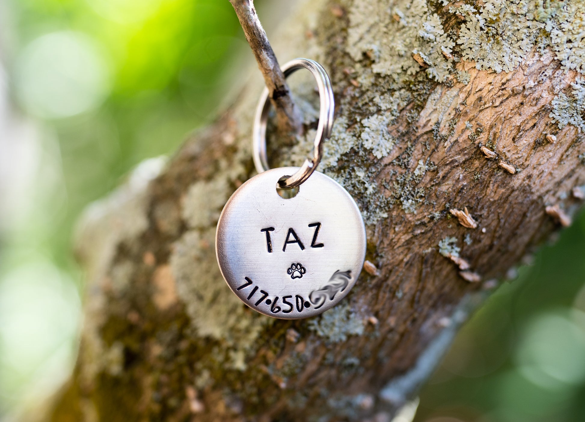 Simple Paw Tag image 0