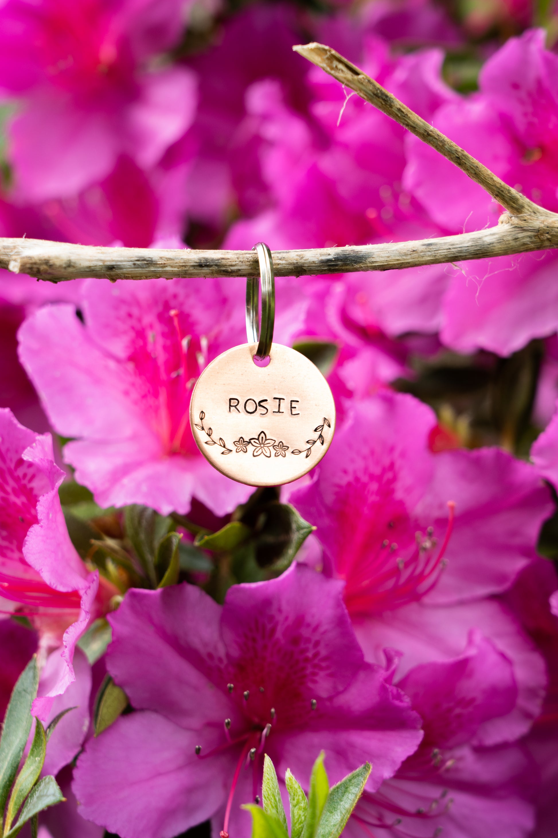 Rosie Dog Tag image 2