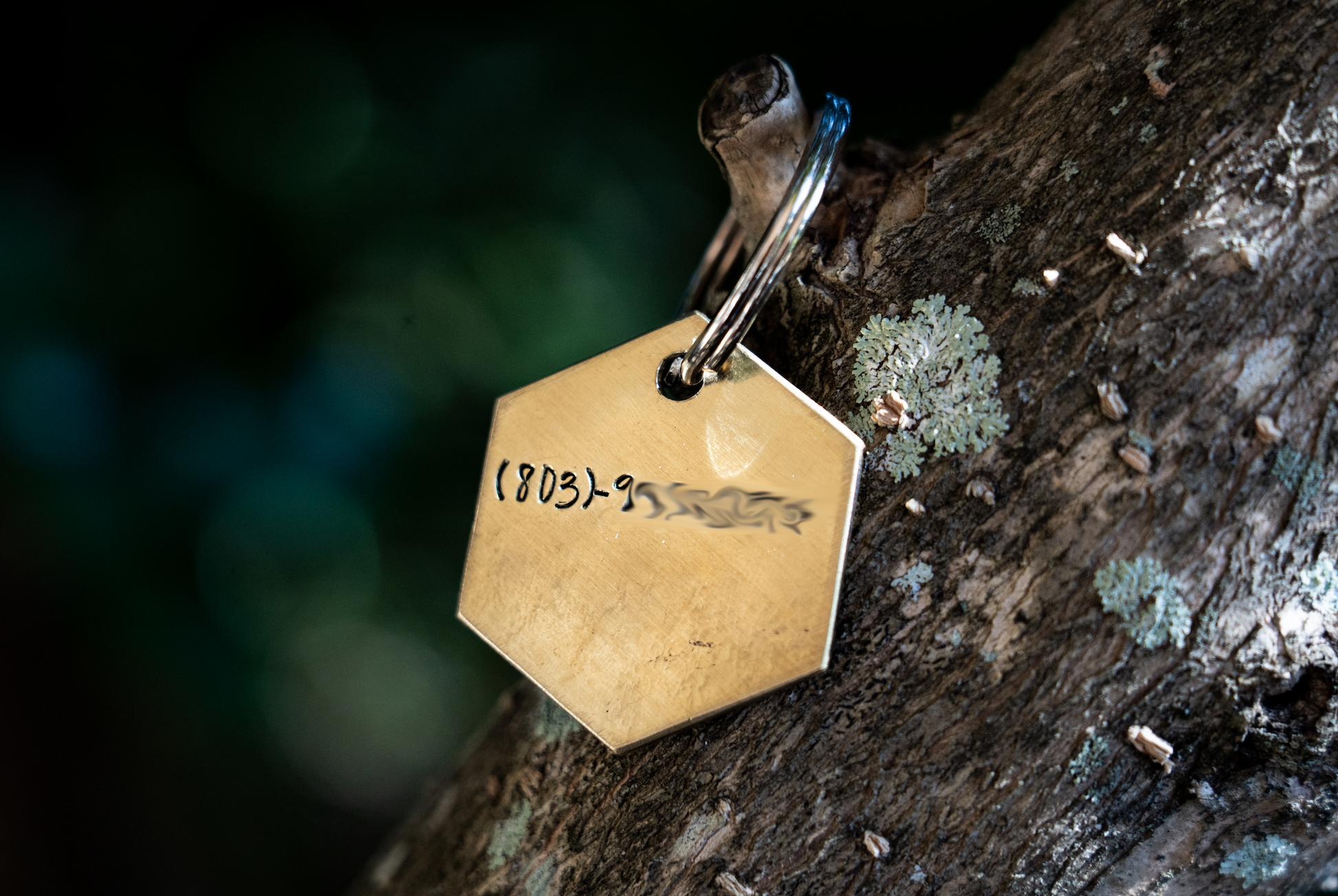 Montecito Hexagon Tag image 2