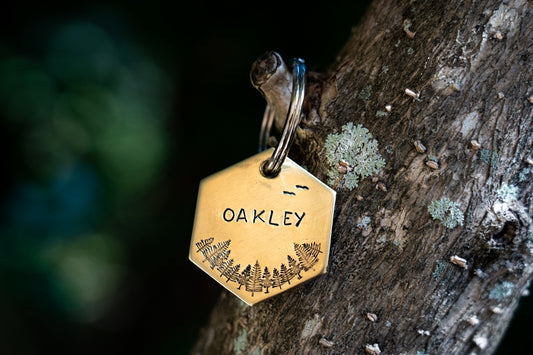 Aerial Tree View Hexagon Tag image 0