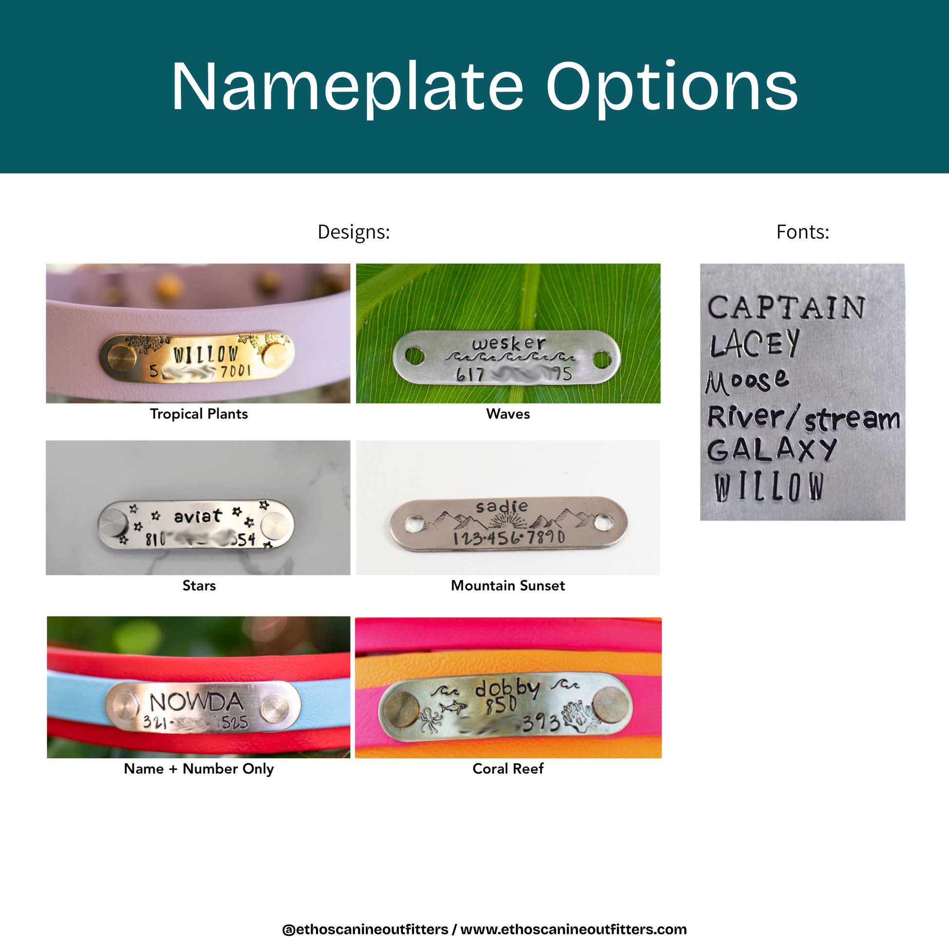 Various nameplate designs and fonts displayed with a teal background. Add a nameplate to your dog collar