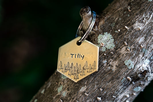 Forest Hexagon Tag image 0