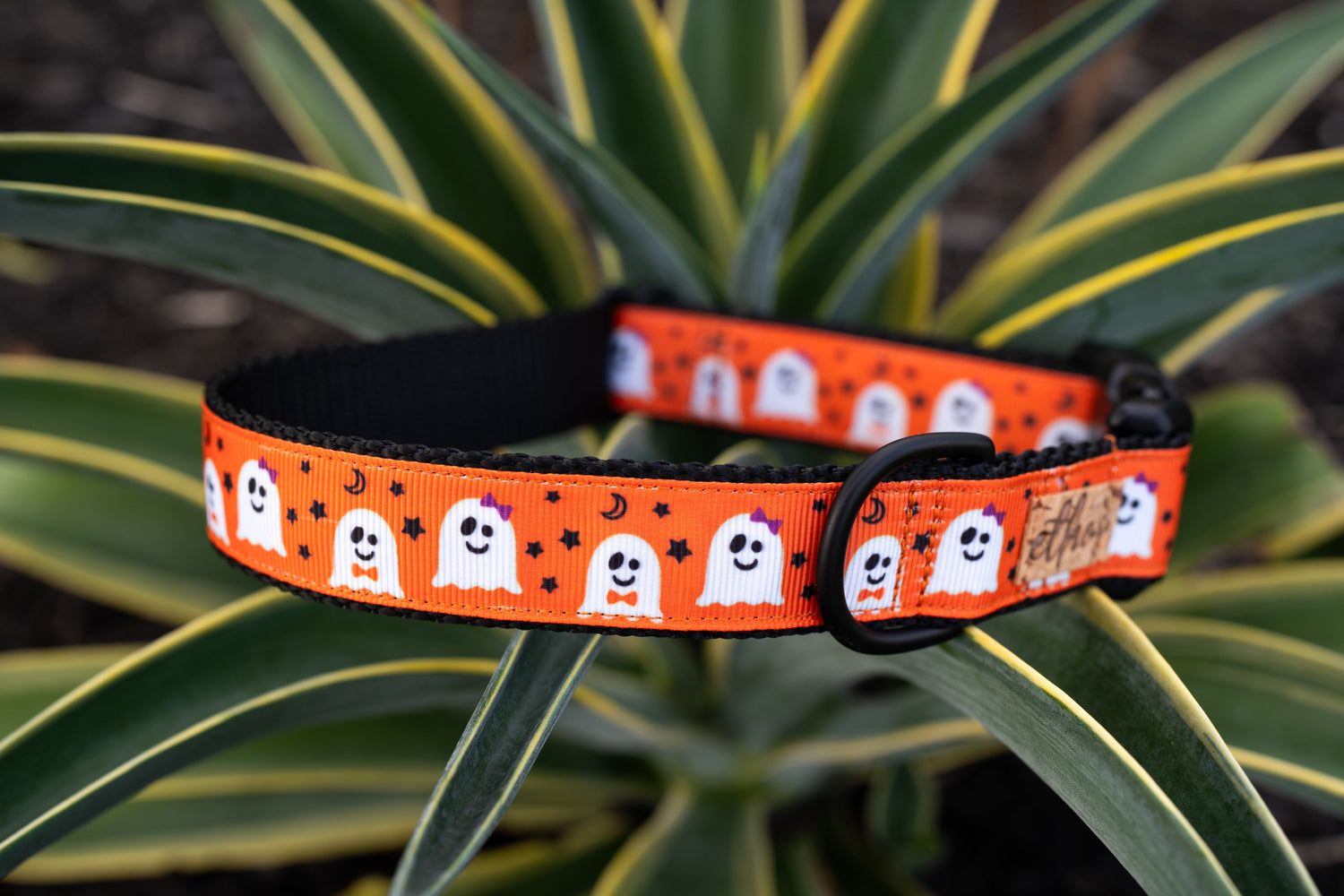 Cute halloween ghosts on an orange dog collar with black accents. The ghosts are smiling and wearing bow ties.