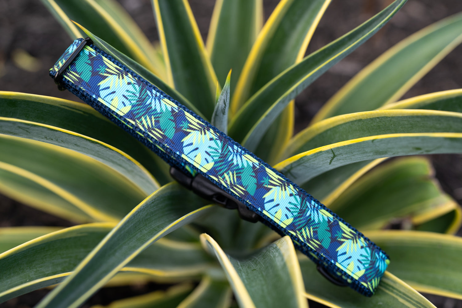 Tropical and Nautical Collection