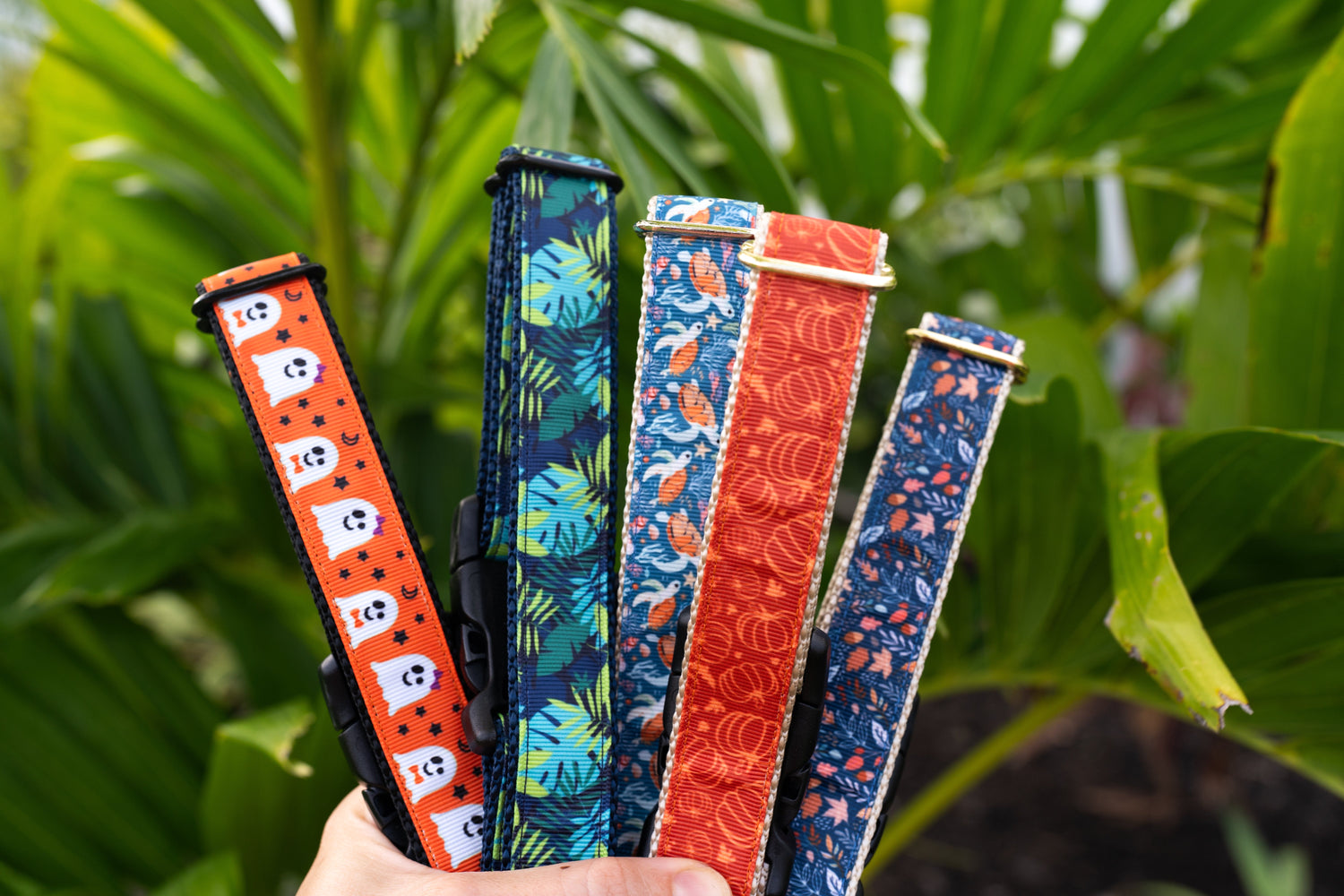 Designer Collars