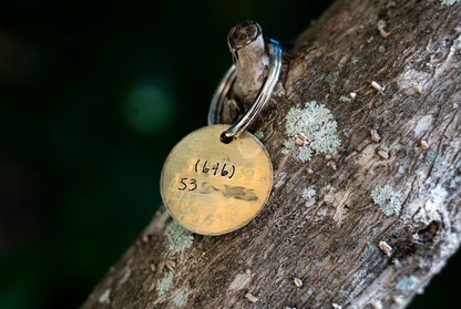 Aerial Tree View Dog Tag image 2