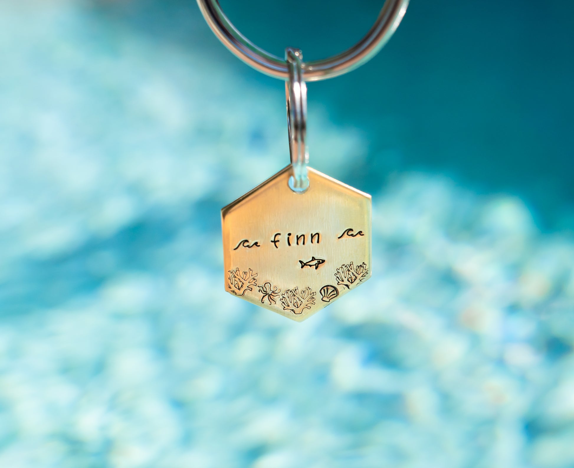 Coral Reef Hexagon Tag image 1