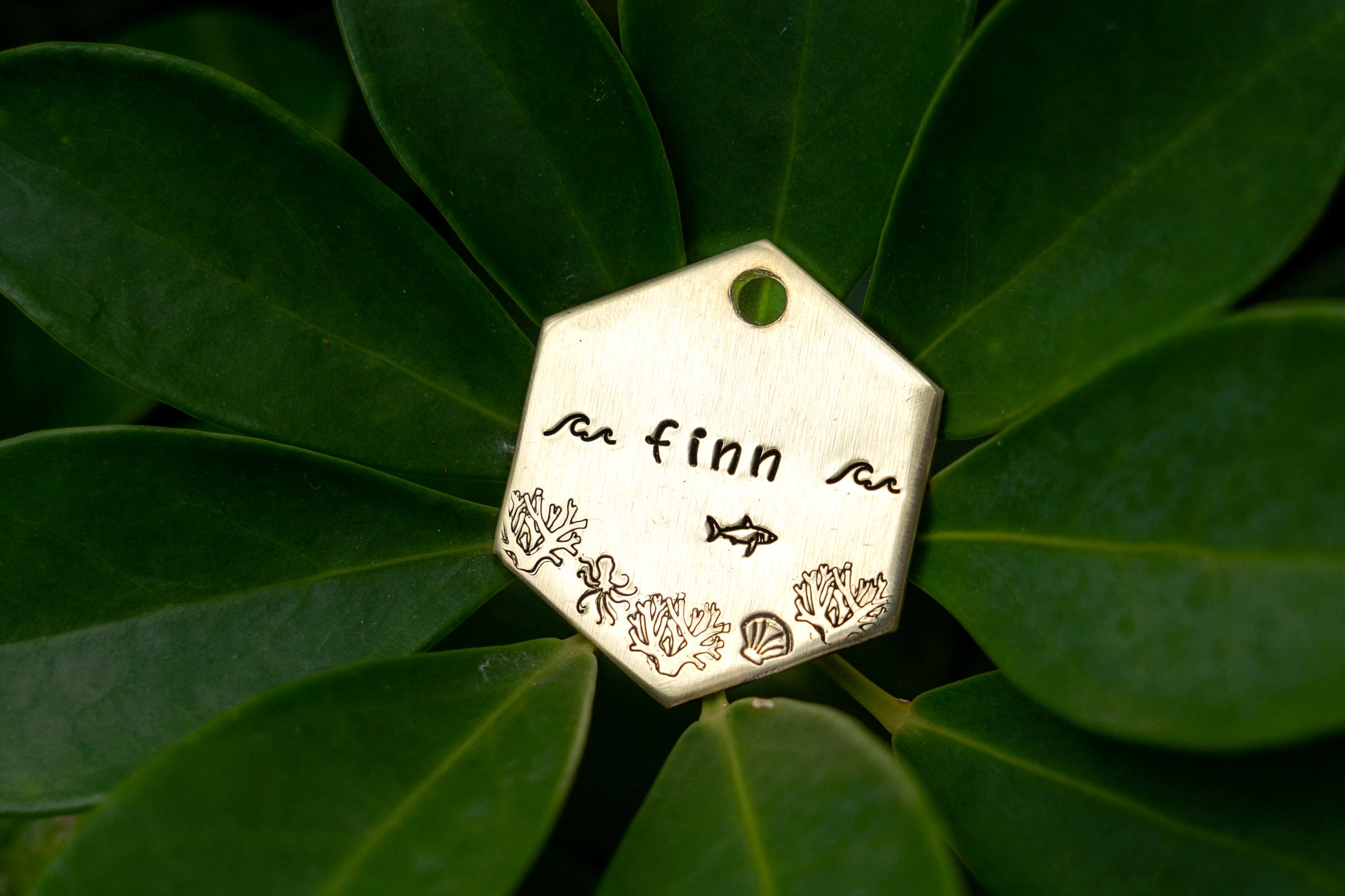 Coral Reef Hexagon Tag image 0