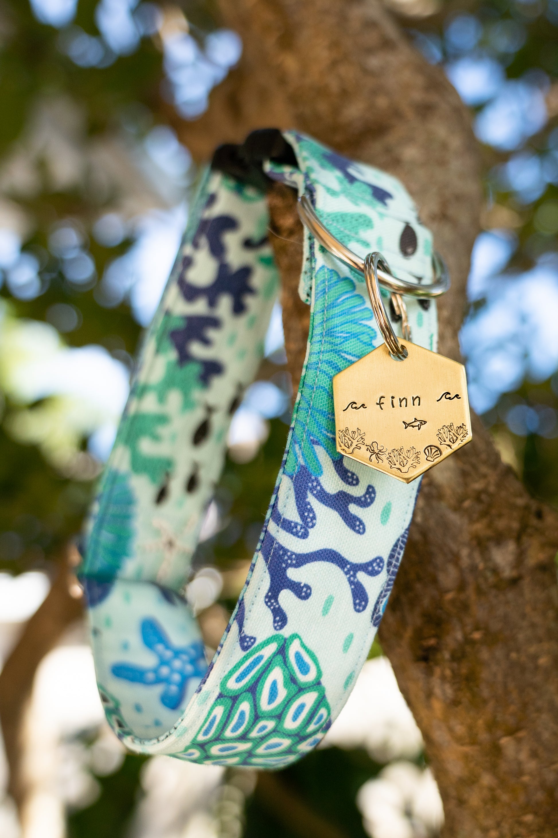 Coral Reef Hexagon Tag image 2