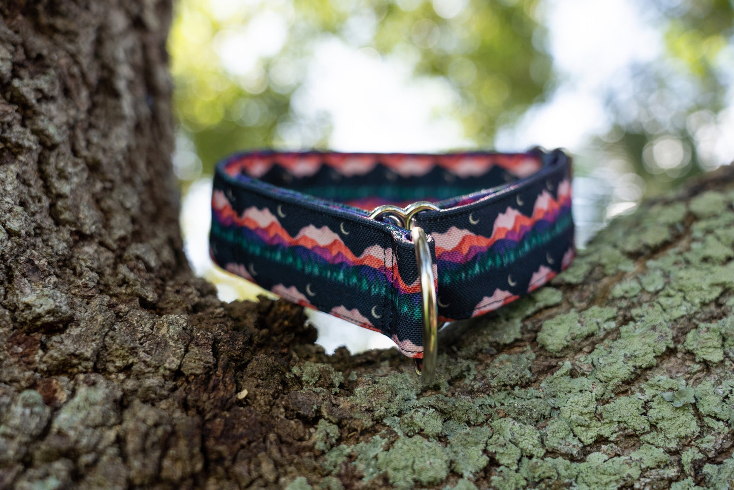 Mountains Eco Canvas Custom Dog Collar