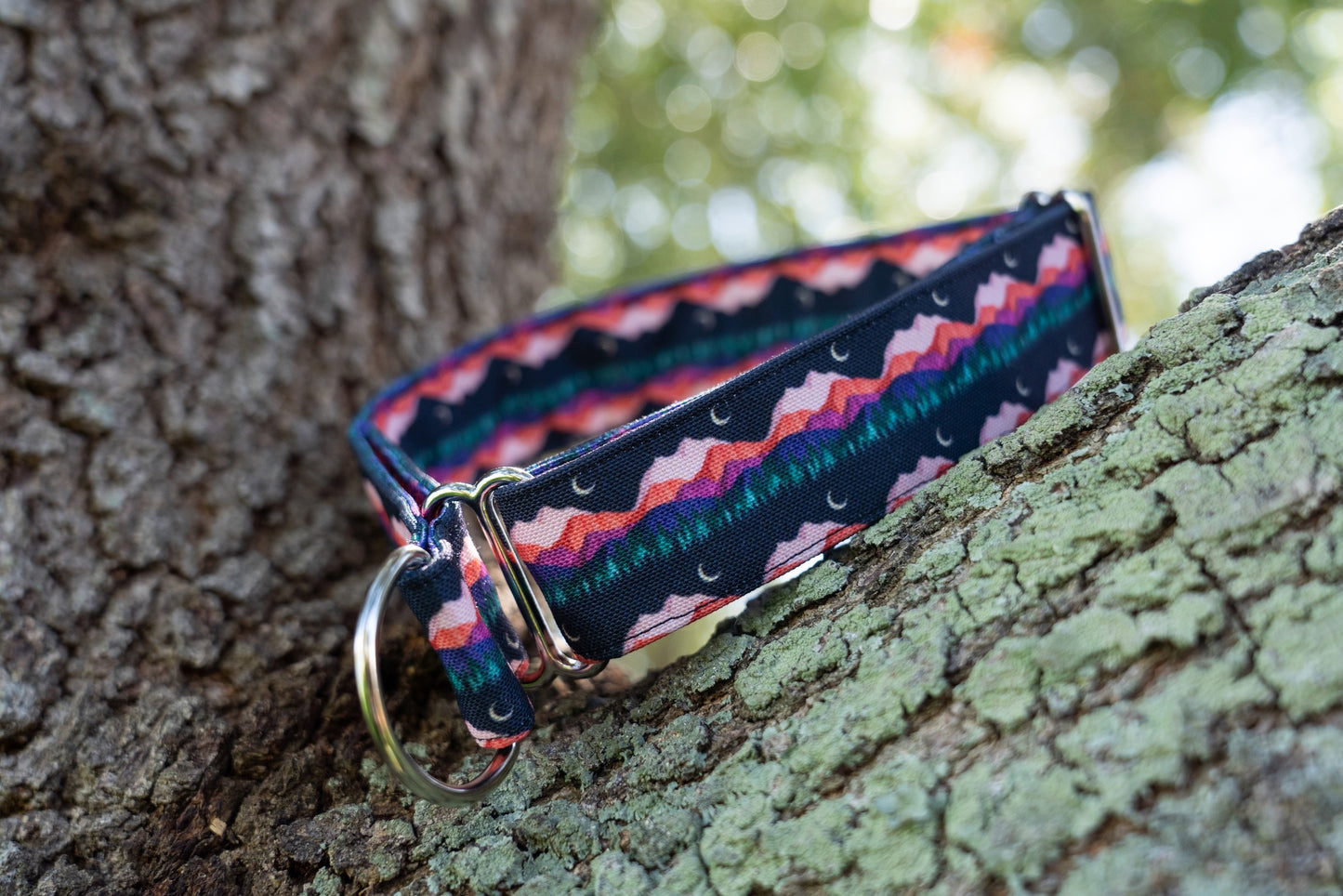 Mountains Eco Canvas Custom Dog Collar
