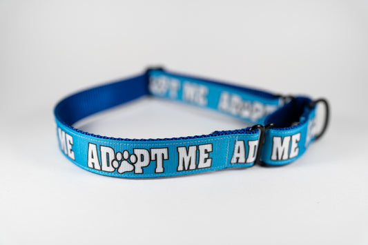 Adopt Me Adjustable Webbing Dog Collar