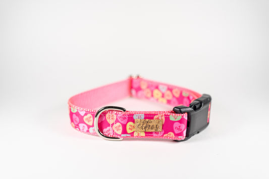 Sweethearts Valentine's Pink Adjustable Webbing Dog Collar