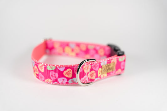 Sweethearts Valentine's Pink Adjustable Webbing Dog Collar