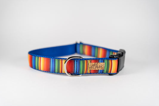 Fiesta Adjustable Webbing Dog Collar