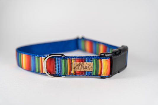 Fiesta Adjustable Webbing Dog Collar