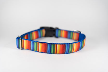 Fiesta Adjustable Webbing Dog Collar