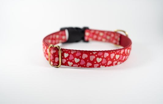 Red Hearts Valentine's Adjustable Webbing Dog Collar