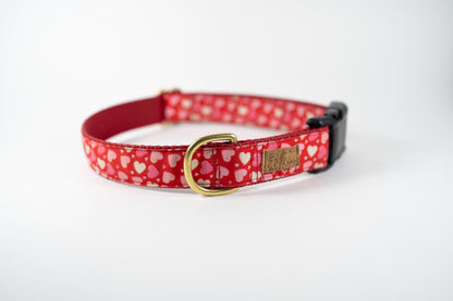 Red Hearts Valentine's Adjustable Webbing Dog Collar