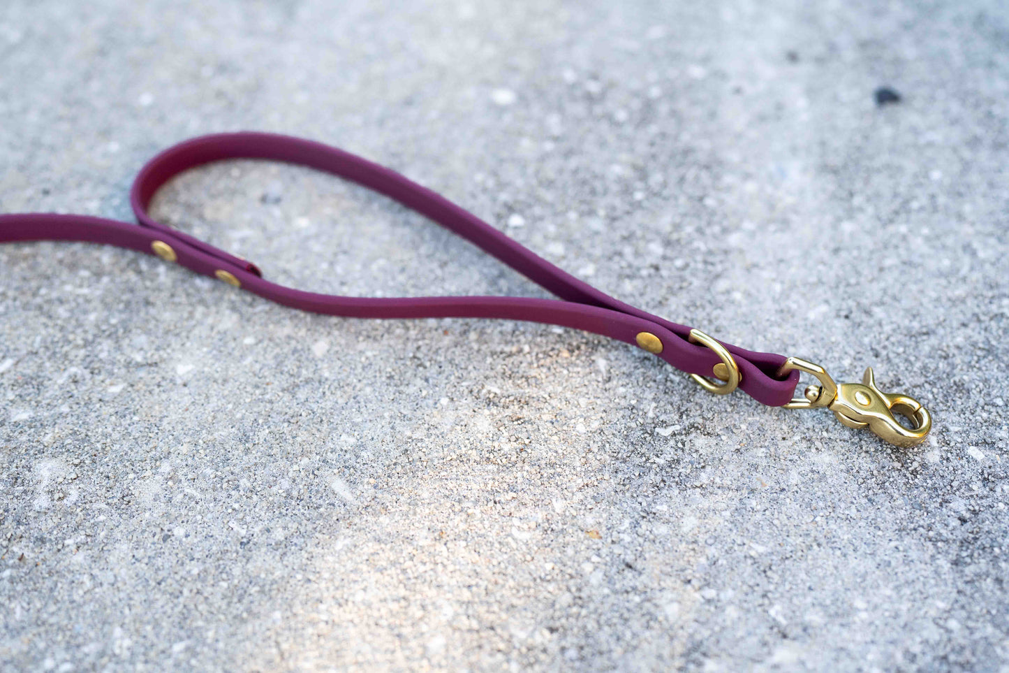 Ultimate Hands-Free Convertible Leash