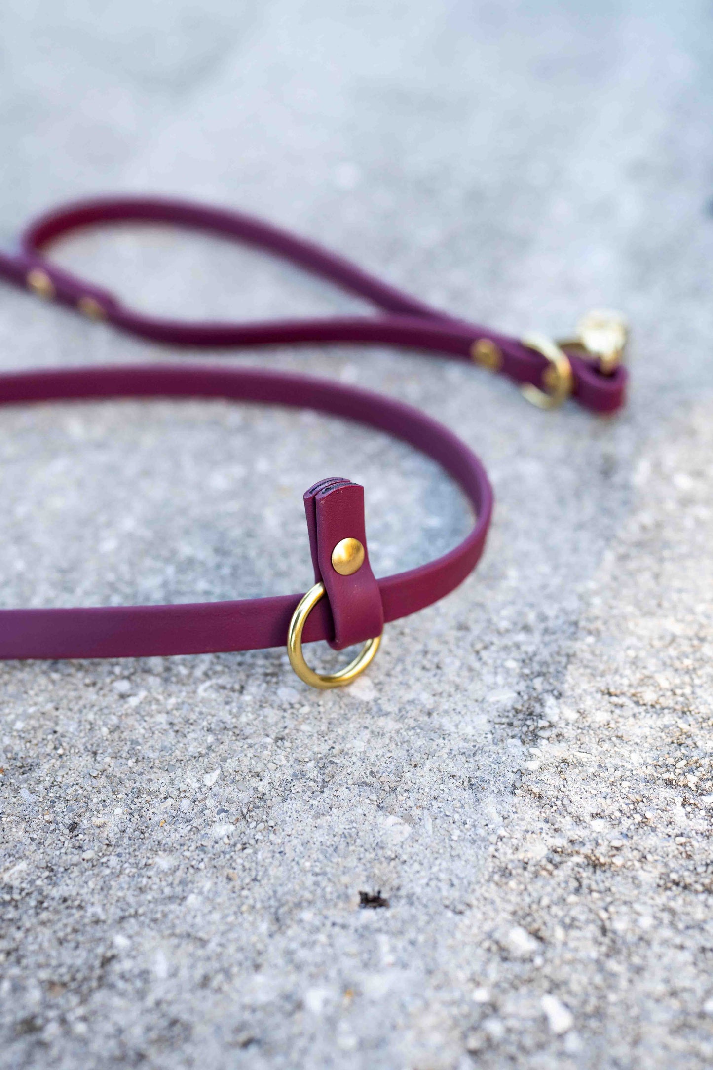 Ultimate Hands-Free Convertible Leash