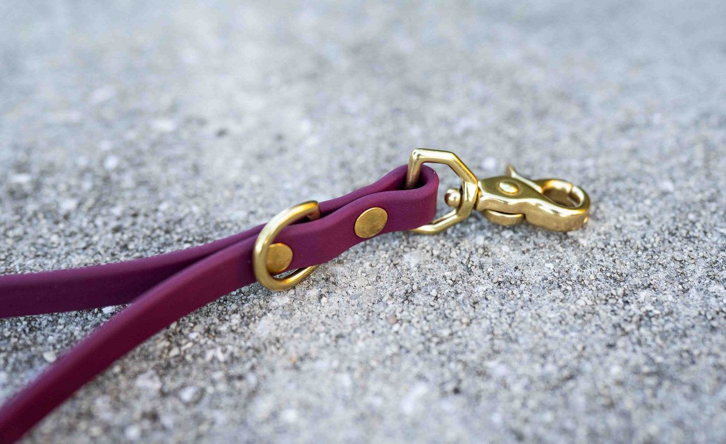 Ultimate Hands-Free Convertible Leash