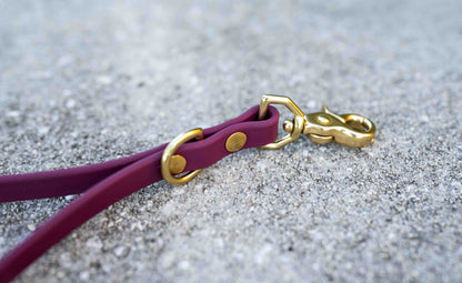 Ultimate Hands-Free Convertible Leash