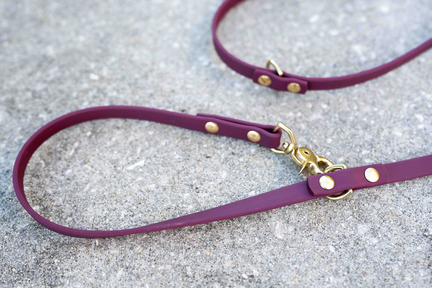 Ultimate Hands-Free Convertible Leash