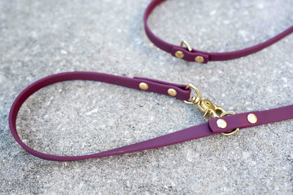 Ultimate Hands-Free Convertible Leash