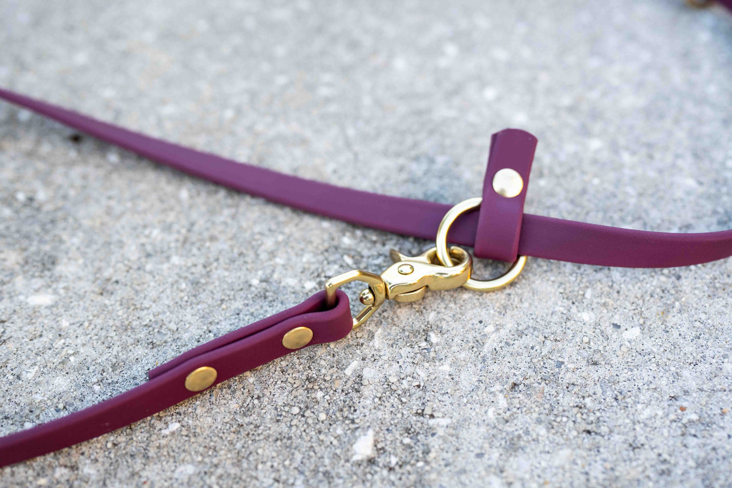 Ultimate Hands-Free Convertible Leash