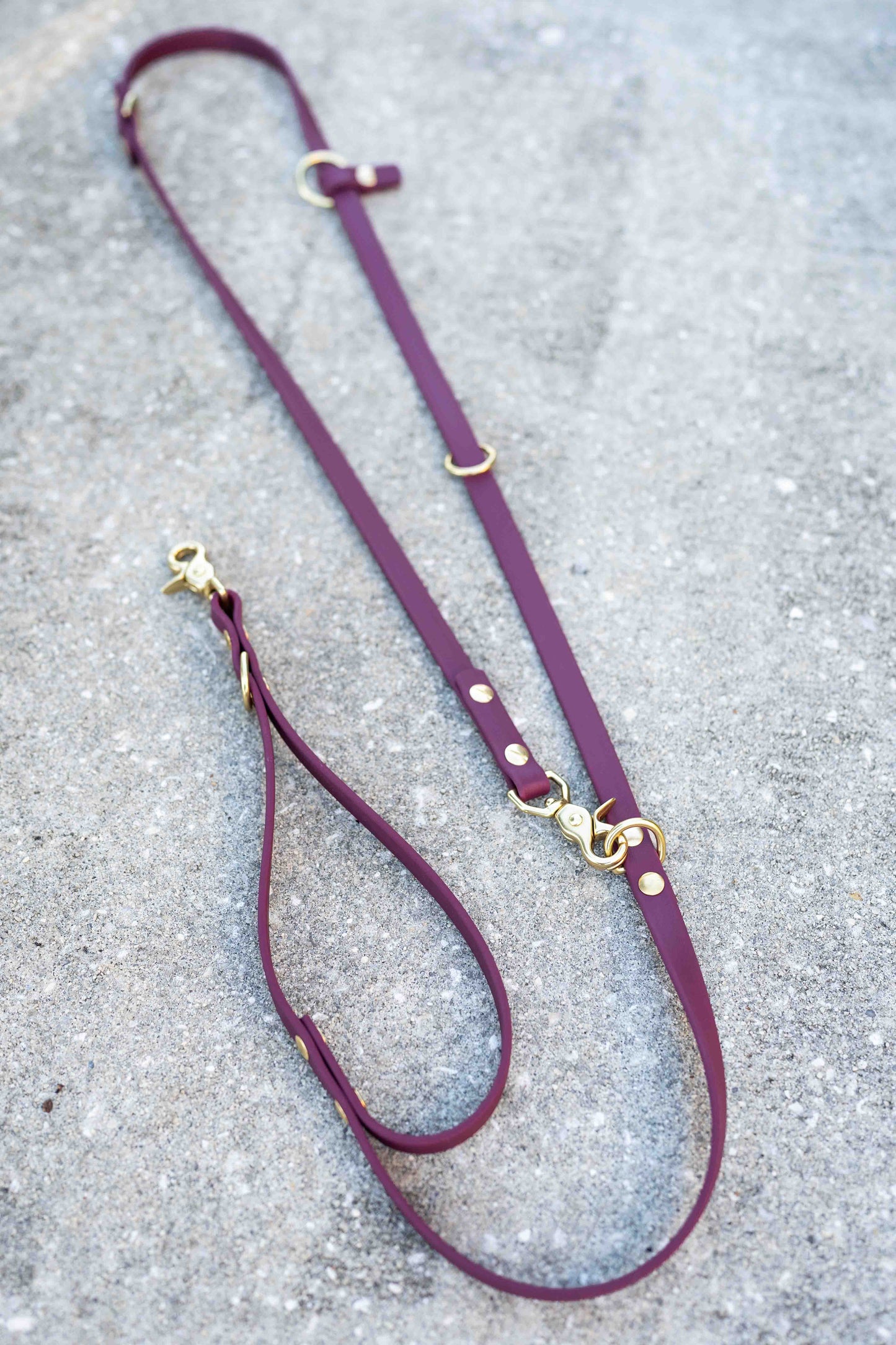 Ultimate Hands-Free Convertible Leash